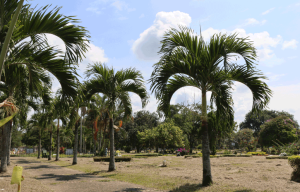 paisaje y diversidad